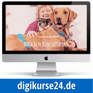 Kinesiotaping für Hunde - Onlinekurs von Yvonne Raible