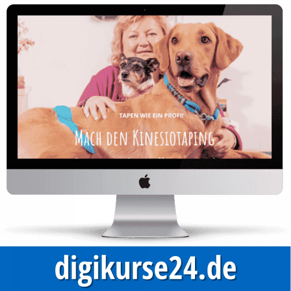 Kinesiotaping für Hunde - Onlinekurs von Yvonne Raible