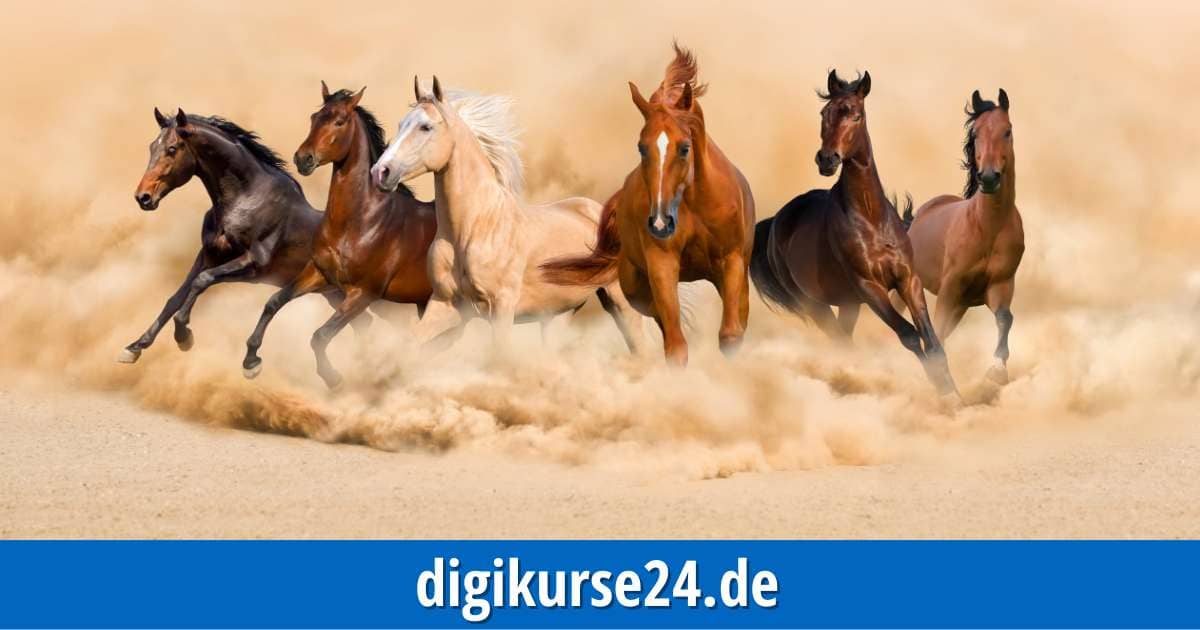 Die Herkunft des Pferdes sowie seine Rasse sind entscheidend für die richtige Ernährung Ihres Pferdes. Sichern Sie sich noch heute das exklusive eBook "Eine Frage der Rasse" zum Vorzugspreis